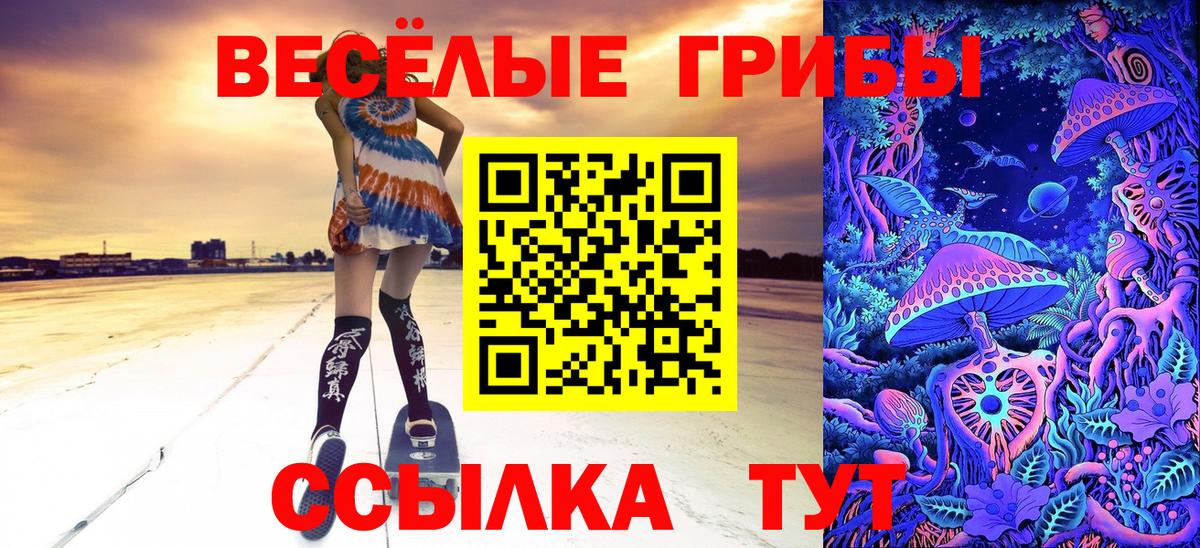 Тихвин  Псилоцибиновые грибы Cubensis  Вход с VPN 