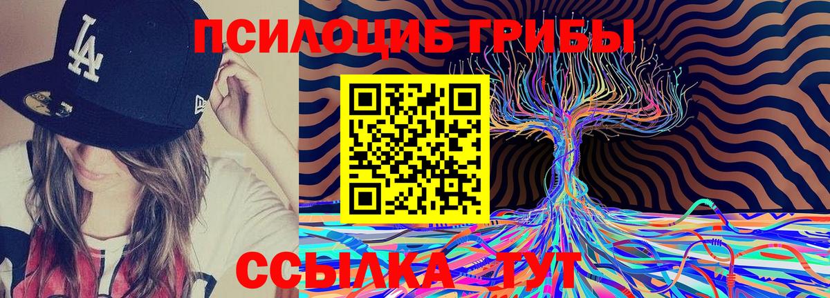 Псилоцибиновые грибы MAGIC MUSHROOMS Тихвин